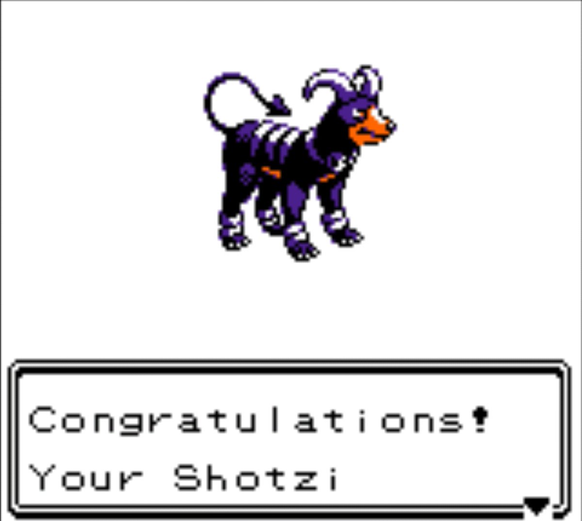 LavenderArtiste's tweet image. Not much progress cause I am hunting for both Raikou and Entei(both are a hassle to find) in order to get Ho-Oh. Also, Shotzi( @HowlForDaddy ) just evolved into Houndoom. #VplaysPKMNCrystal