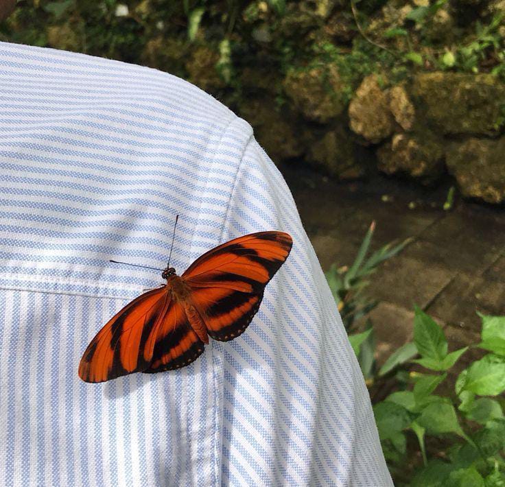 یہ شکوے بے وجہ ہیں، یہ تو دستورِ چاہت ہیں
کہ جو محبوب ہوتا ہے، ذرا مغرور ہوتا ہے 🖤