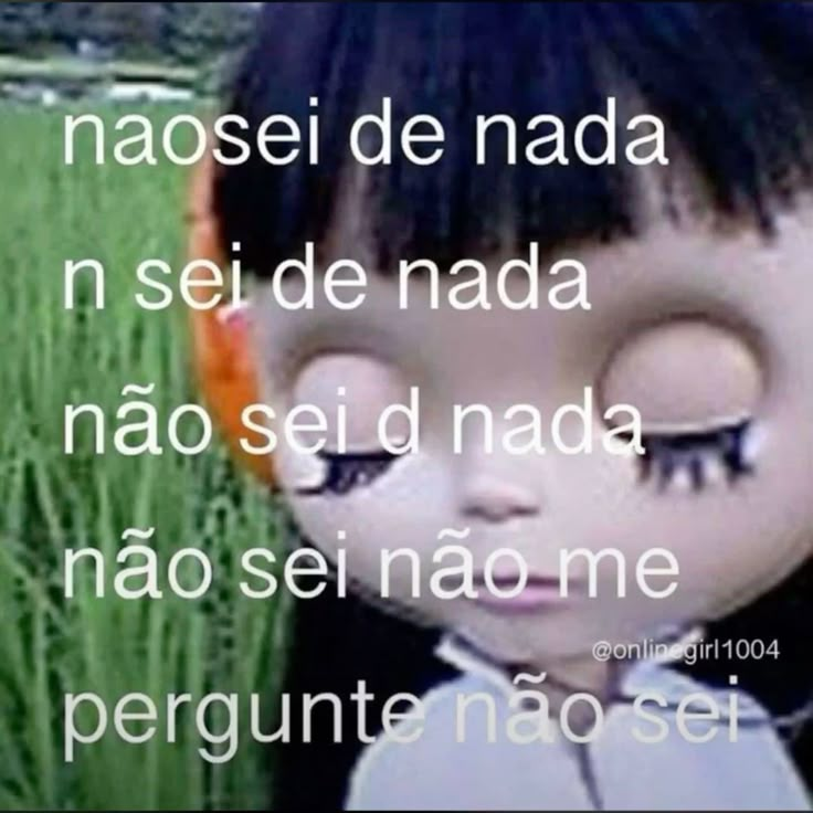 perfil dedicado a gatinhos e peitos (@odeiootaco) on Twitter photo 