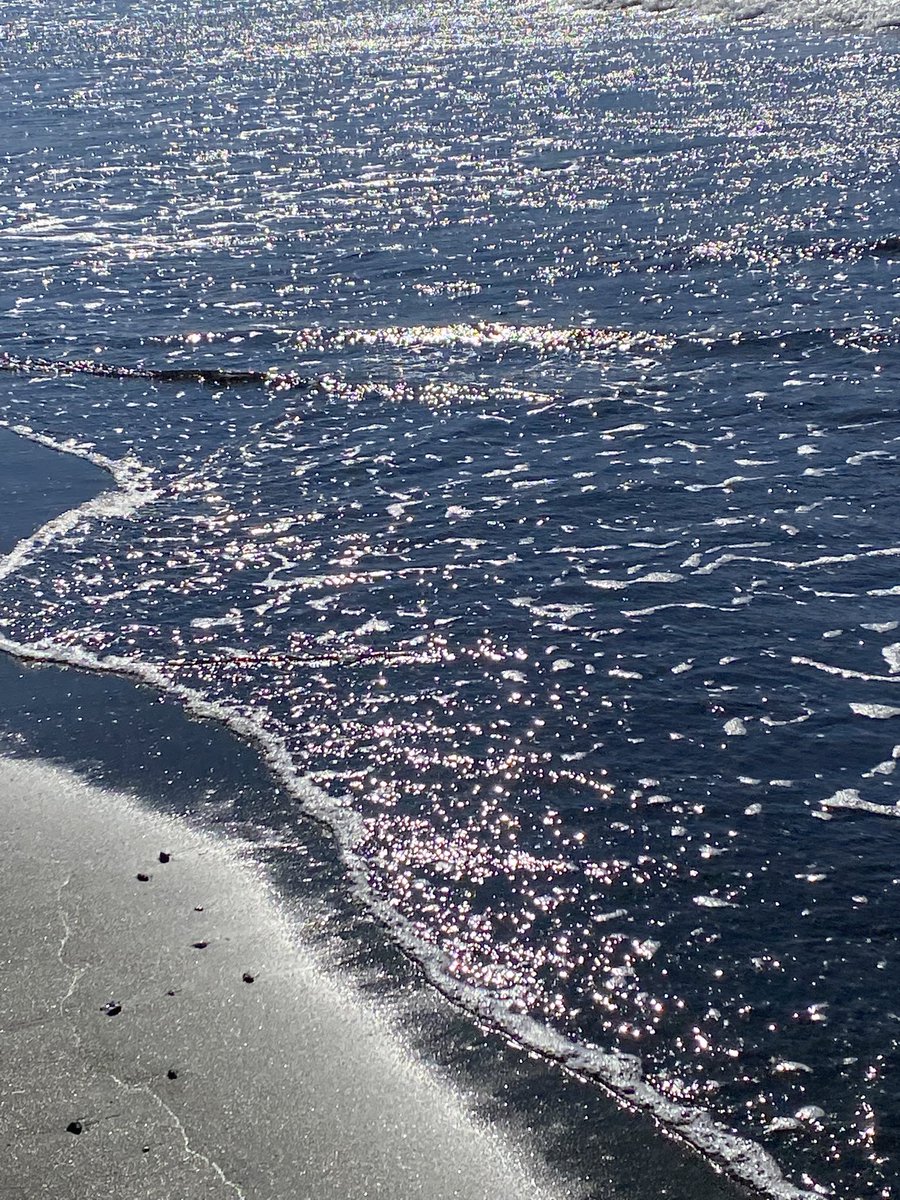 hituji_ani's tweet image. スパンコールな波際