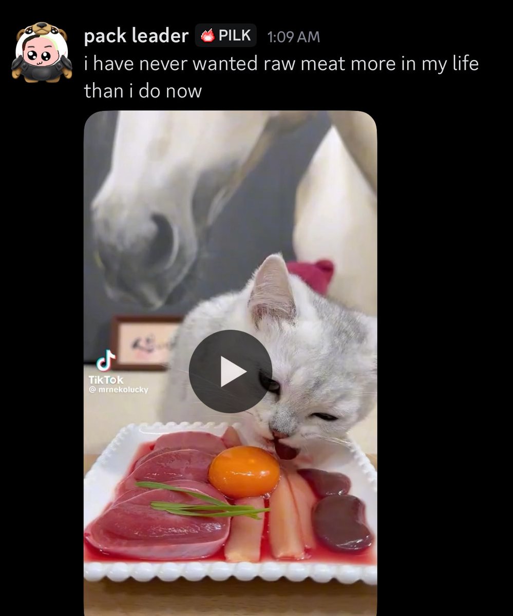 something about this mf cat that gets my instincts kicking

can i have one of your meat logs please