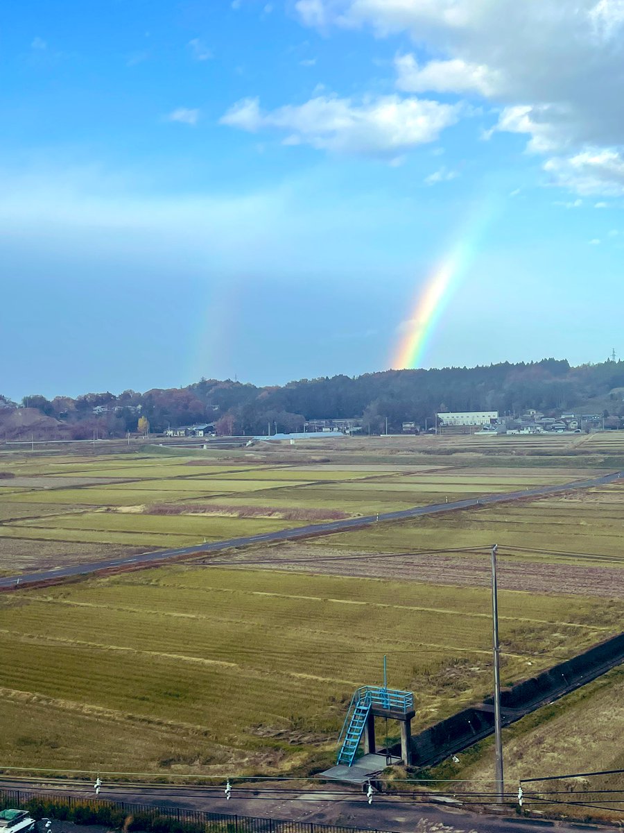 goki_the_second's tweet image. ここをキャンプ地とする。