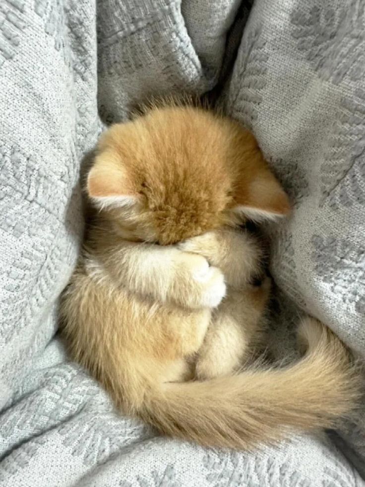 smile4me2k5's tweet image. BULIEWF.23132F.22F6.FA13