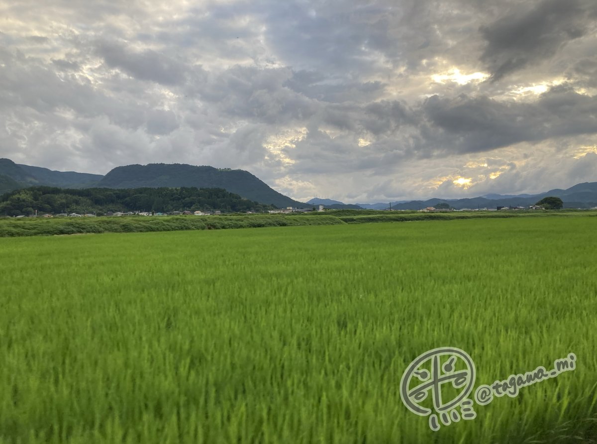 【しゃこうっち。舞台紹介①大分県玖珠町】
漫画の舞台である玖瑠町(くるまち)は大分県の玖珠町(くすまち)という実在の町をモデルとさせていただいてます 周りを山に囲まれた長閑な町♨️1枚目の写真は玖珠町のシンボルである伐株山の上から撮りました
#しゃこうっち #大分県 #玖珠町 