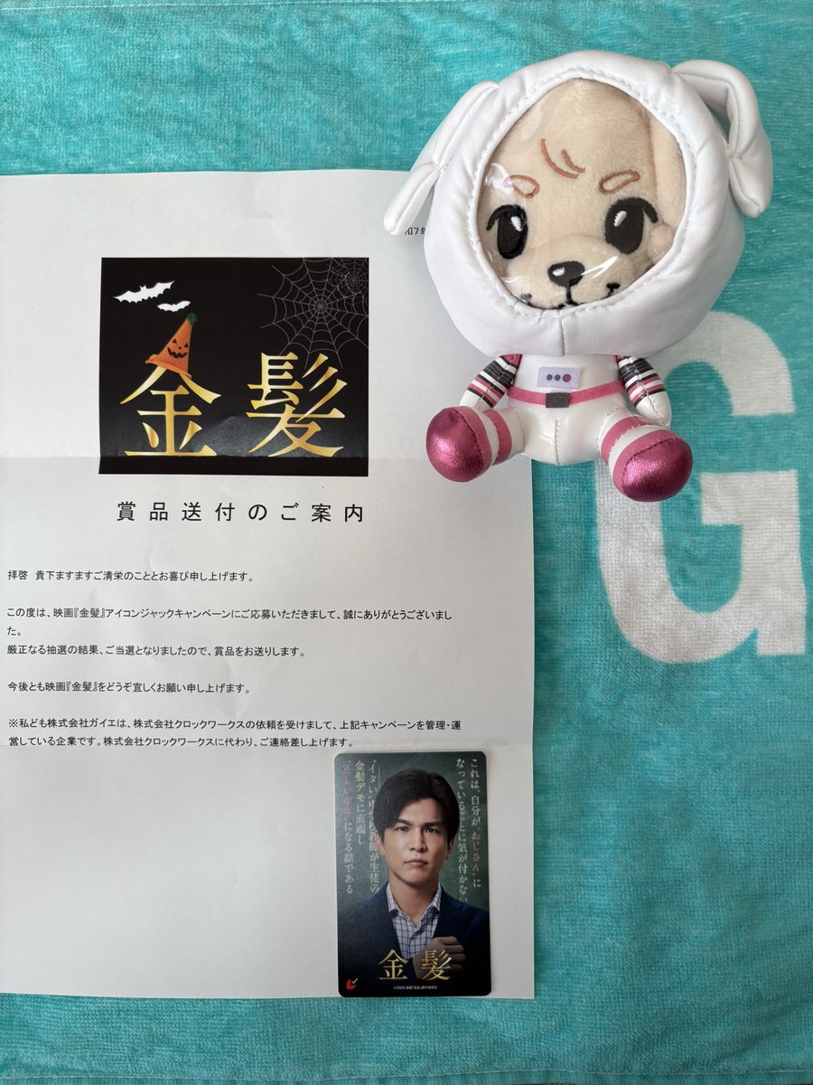 acgセクシーカード LSP2⭐︎002 取引猫 acgセクシーカード LSP2⭐︎002