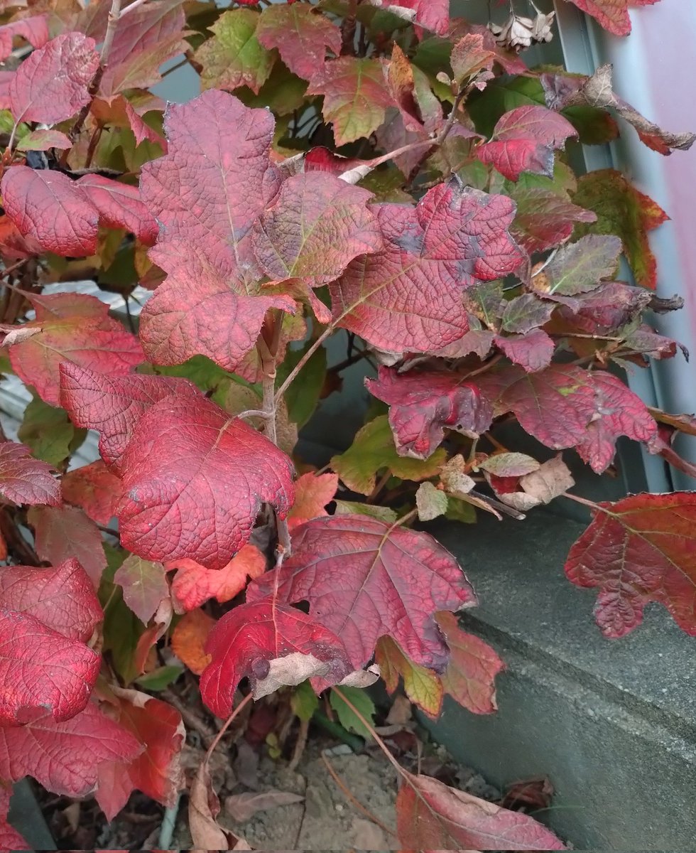 うし (@usi5638) / Posts / X