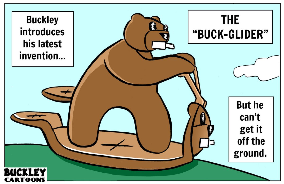 BuckleyCartoons's tweet image. #Invention #Intro #Glider #Original #Cartoon #Beaver