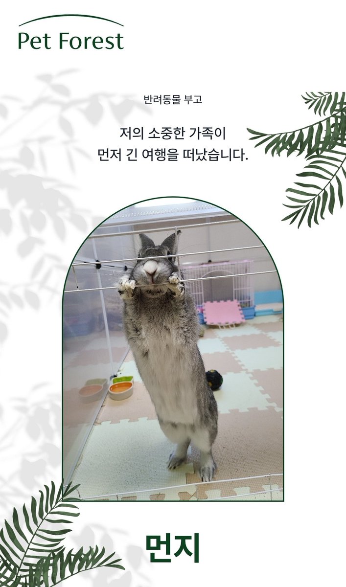 우리 먼지 미안하고 사랑해