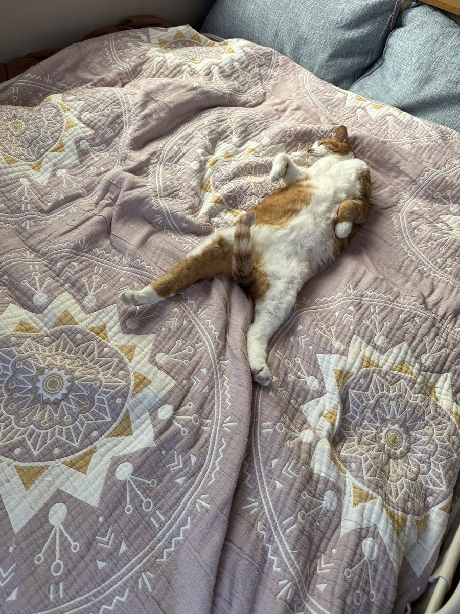 もんちゃん (@monchan331_) / Posts / X