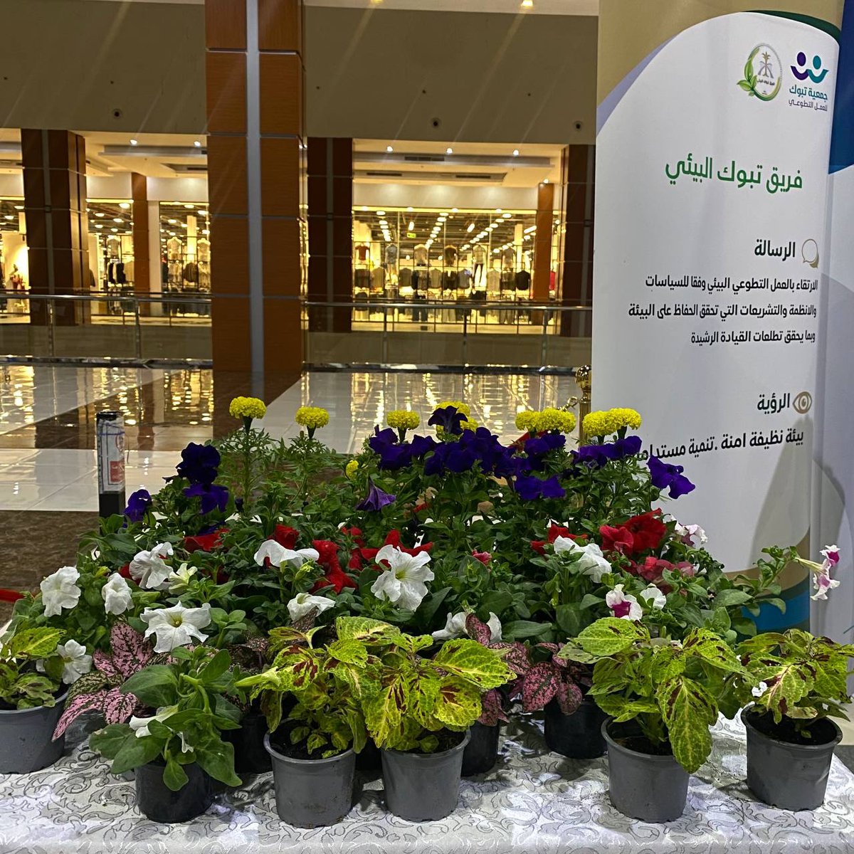 شارك فريق تبوك البيئي مع فريق فرحه التطوعي بفعاليات اليوم العالمي للطفل بتوزيع شتلات على الأطفال والزوار لتشجيع الأطفال على الزراعة المنزلية والعناية بها وتعزيز ارتباطهم بالبيئة للمساهمة في تحقيق جودة الحياة وبيئة مستدامة . 
<a href="/TabukVAs/">جمعية تبوك للعمل التطوعي</a>
<a href="/FarhaTeeam/">فريق فرحه التطوعي</a>
 #تبوك 
#العمل_التطوعي