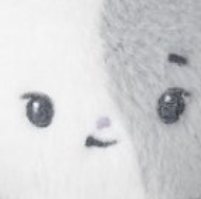 jungsupil's tweet image. ₍ ˶•⤙•˶ ₎