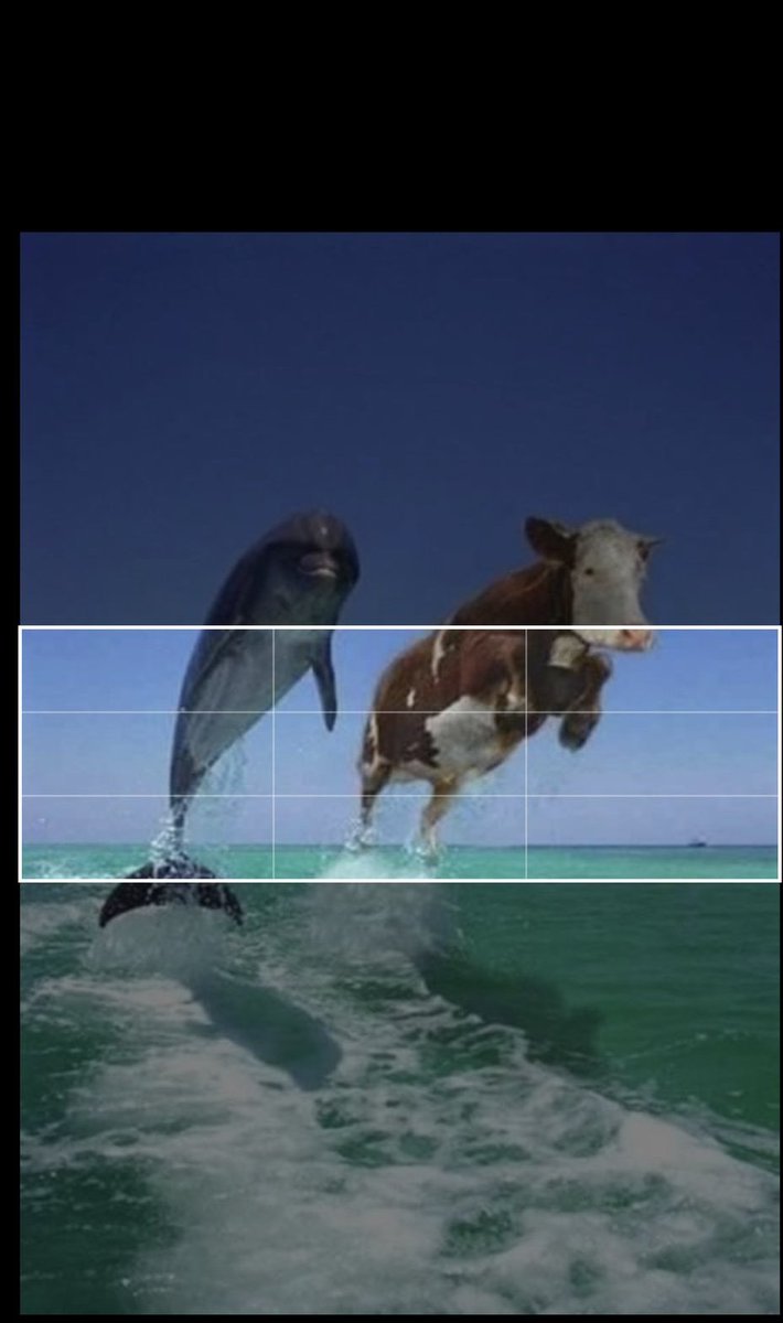 LearnToWorld1's tweet image. how do i make it fit?