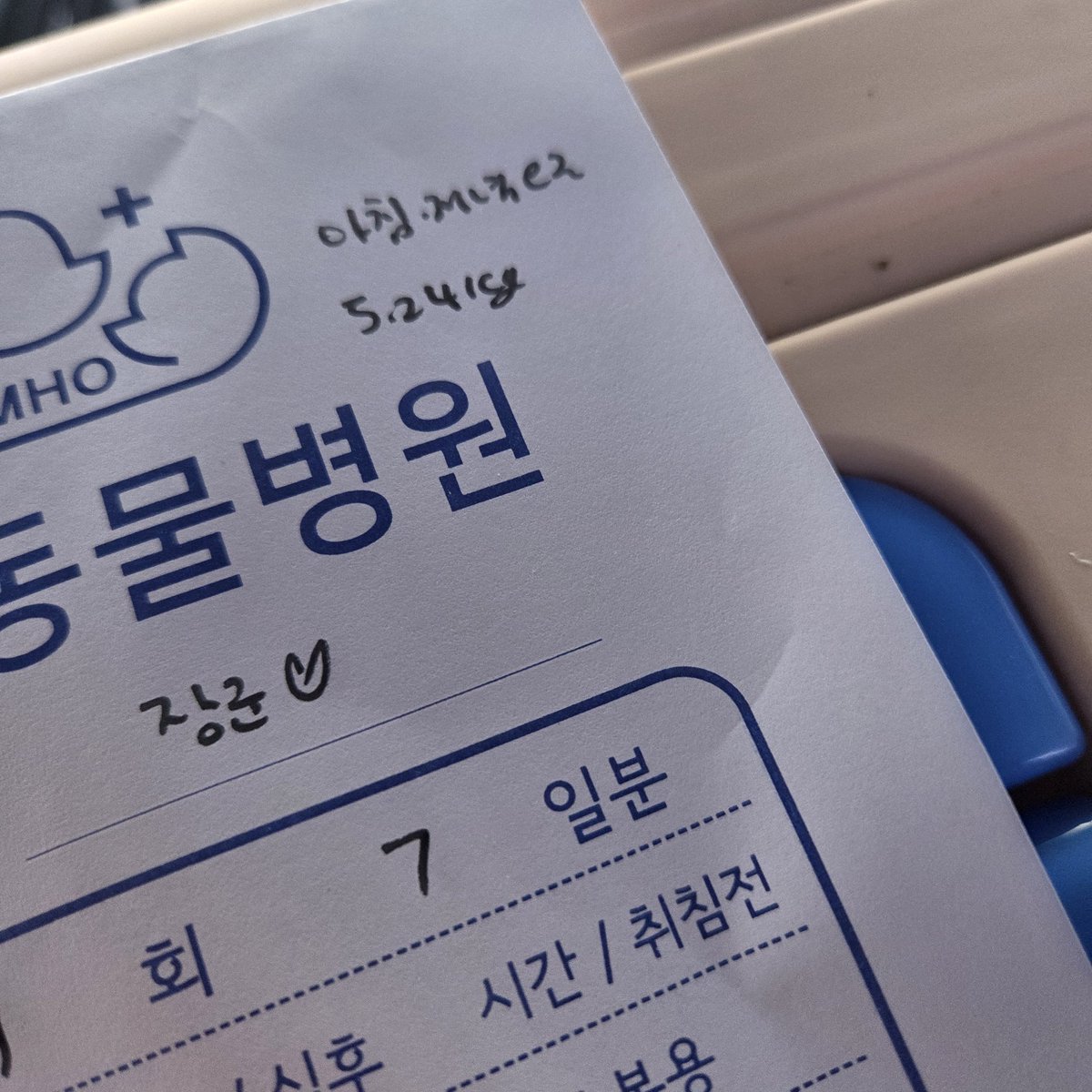 왜 이렇게 많이 컸냐 내 째꾸미...