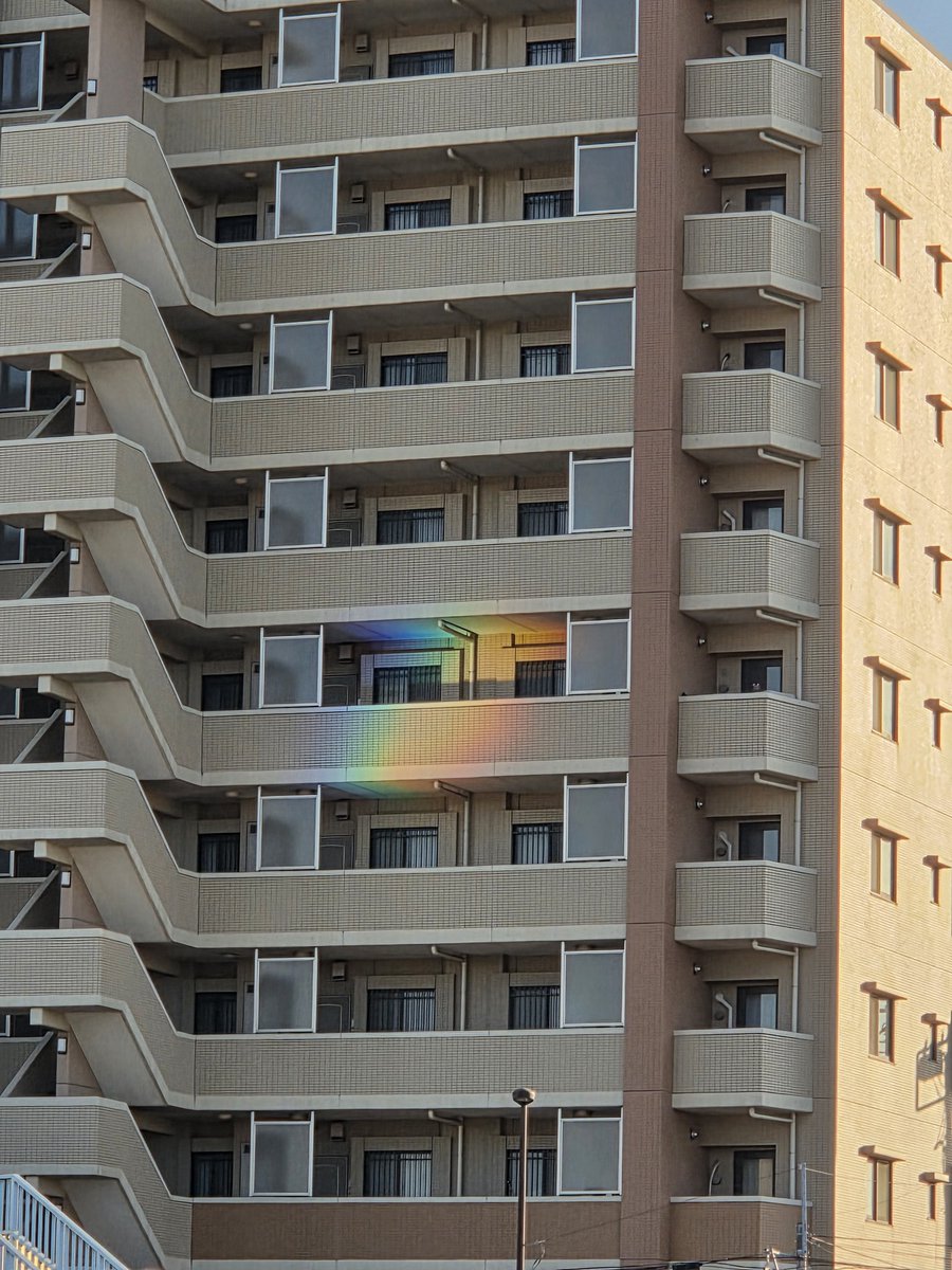 パセリさんポチッと🌿🌈