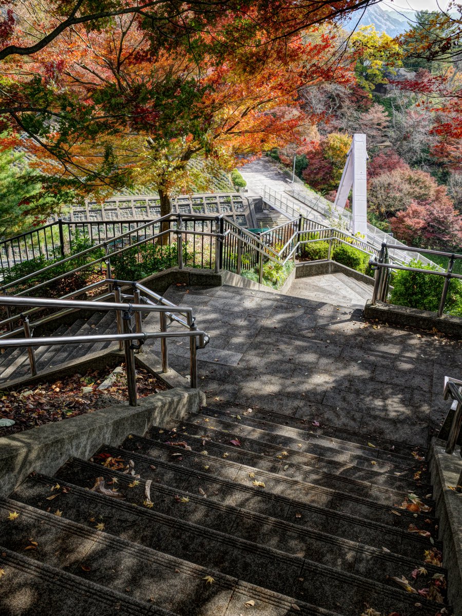 とるなら (@FukuiAsobiWeb) / Posts / X