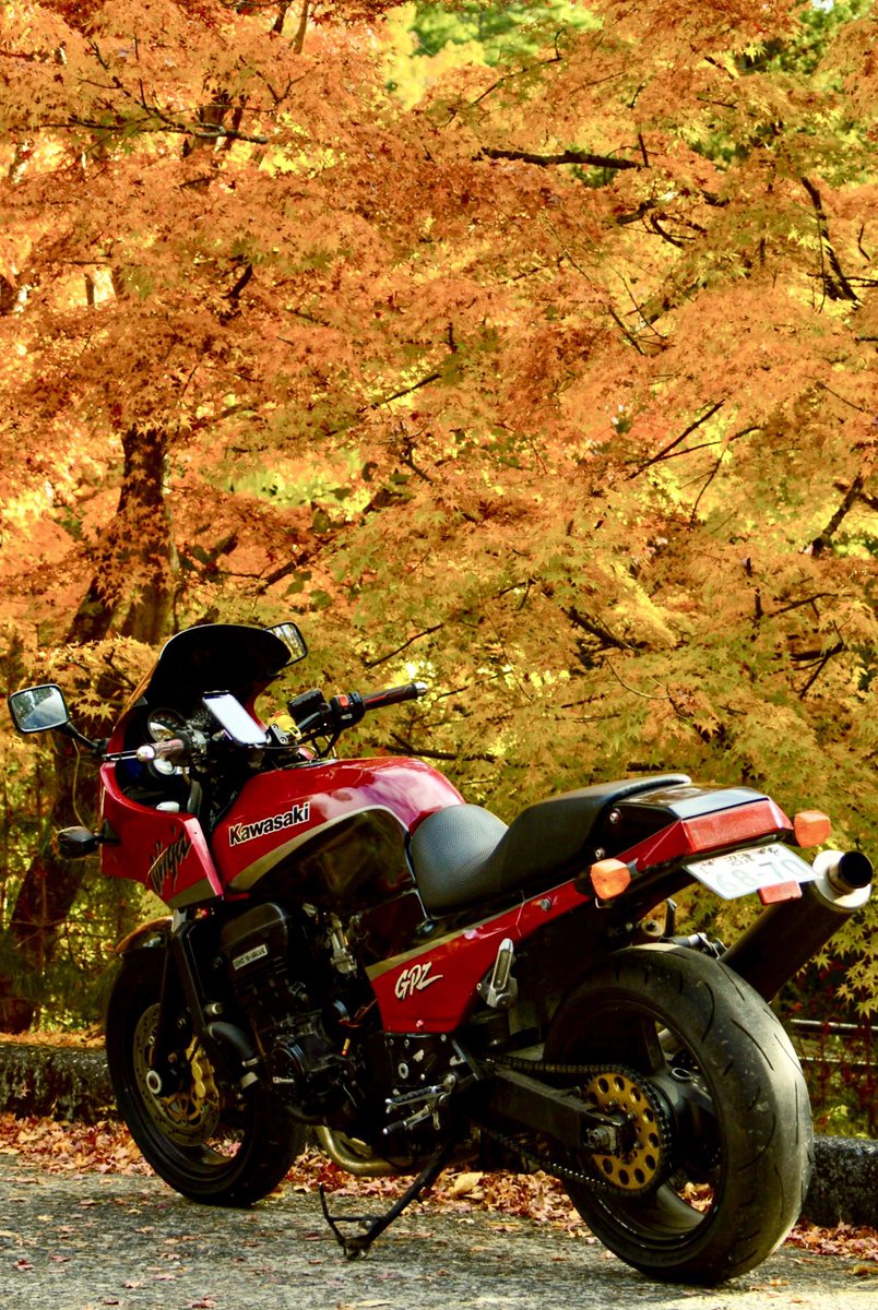 【田中様】 2024年式Ninja ZX-6R 40th Anniversary Editionのご紹介です