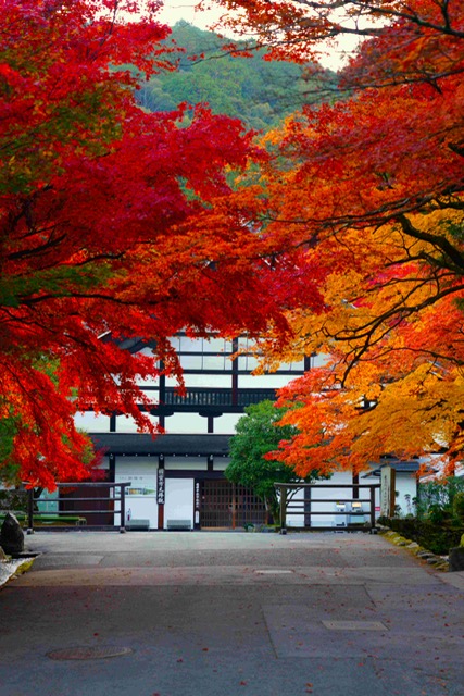 早朝の境内ゆっくりとした時間がながれています。
#京都紅葉 #紅葉2025 #紅葉 #もみじ #南禅寺 #京都 #日本 #寺院 #禅 #仏教 #nanzenji #kyoto #japan #temple #zen