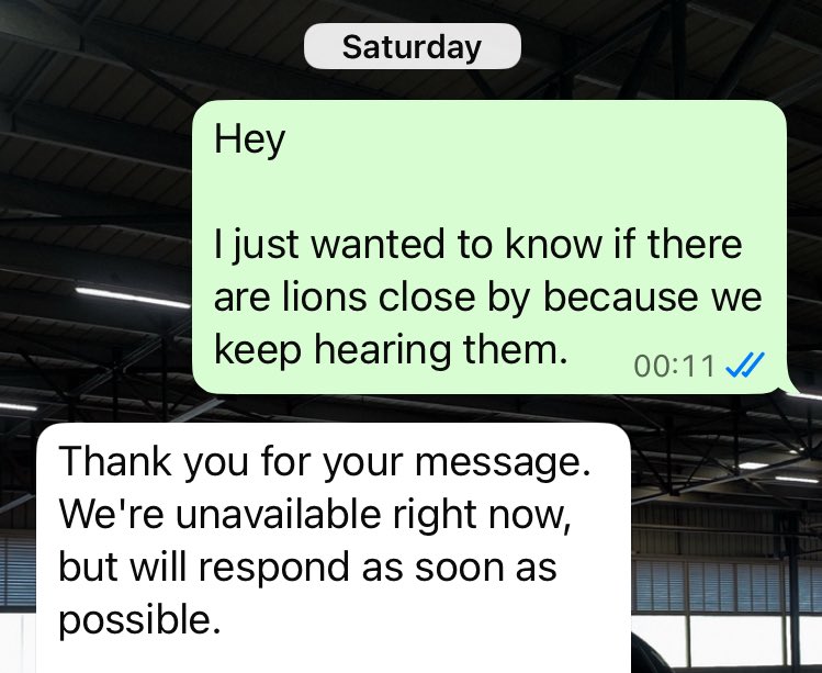 hlovo_'s tweet image. Bruh I couldn’t sleep peacefully 😭😭

Only getting a response 8 hours later didn’t help because a lot can happen in 8 hours when lions are involved 😭