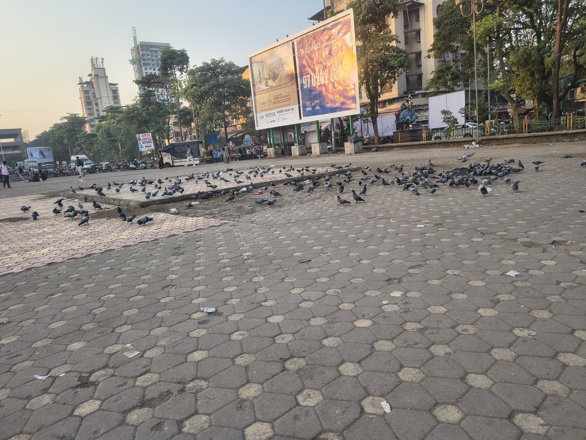 AkashMatale's tweet photo. Hii @NMMConline  @NMMCCommr  @CIDCO_Ltd  is Koparkhairane new pigon feeding spot because there is constant feeding going on and now the water tubs have been placed for them please take action and board which warn people has been placed inside the station place it on feeding spot https://t.co/vTEOJAY49u