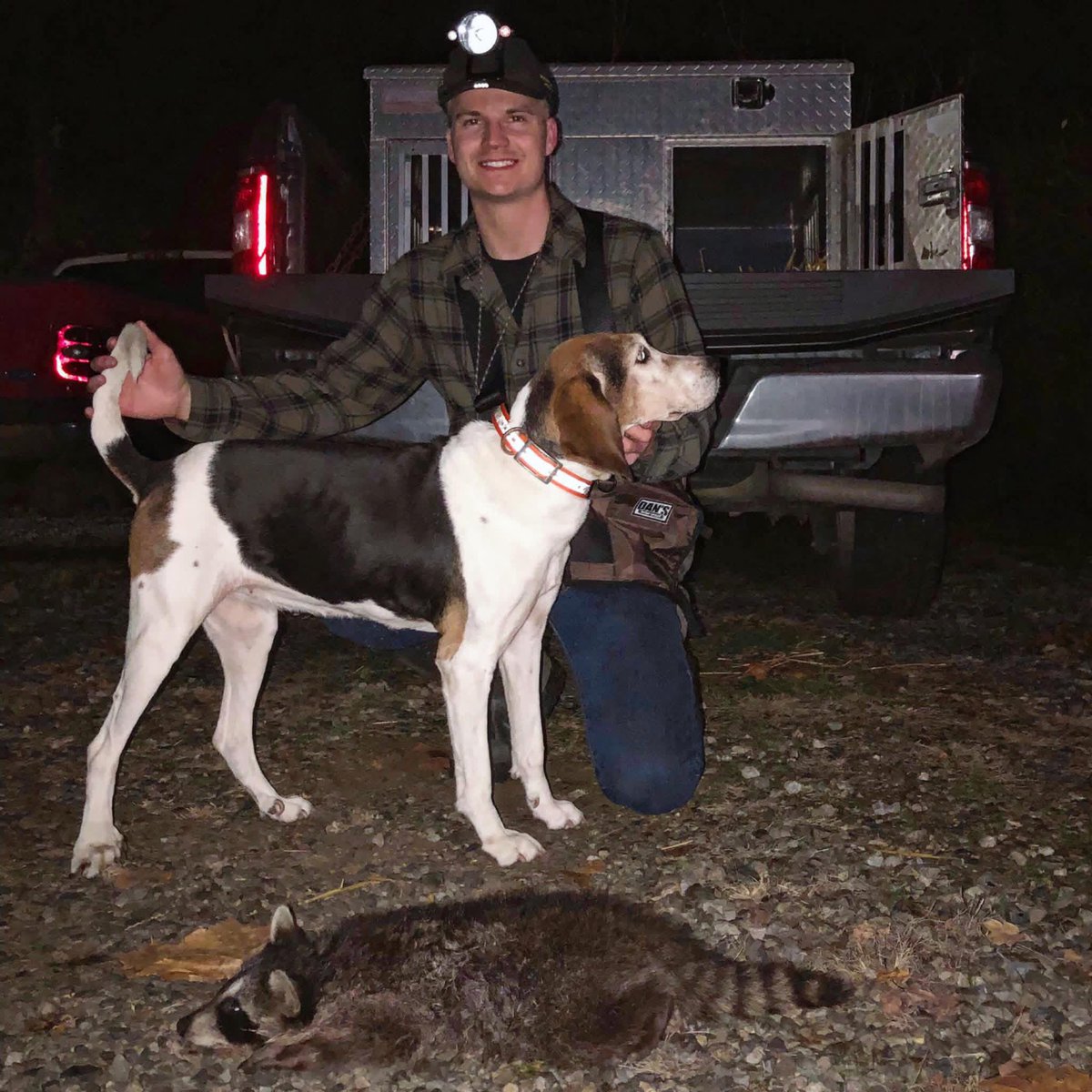 BjSims98's tweet photo. Annie and I rolled in our 10th coon season #treeingwalkercoonhound #coondog #coonhunting #huntingdog #outdoors https://t.co/Ofe8Ypwfku