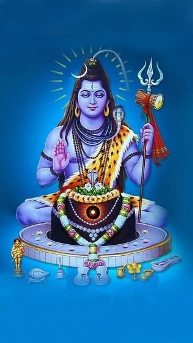 आकर मेरा थाम लो, भगवन  दोनों  हाथ।
शिव मंदिर पूजा करें, शिव शंकर हो साथ।।

परेशान  करते  नहीं, हल  ढूँढ़ो  दातार।
आयेगा आनंद शिव, प्रेम करो स्वीकार।।

यथा स्थान शिव दीजिए, यज्ञ भूमि हो यज्ञ।
प्रजा शक्ति शाली बने, बुद्धिमान  हो  प्रज्ञ।।