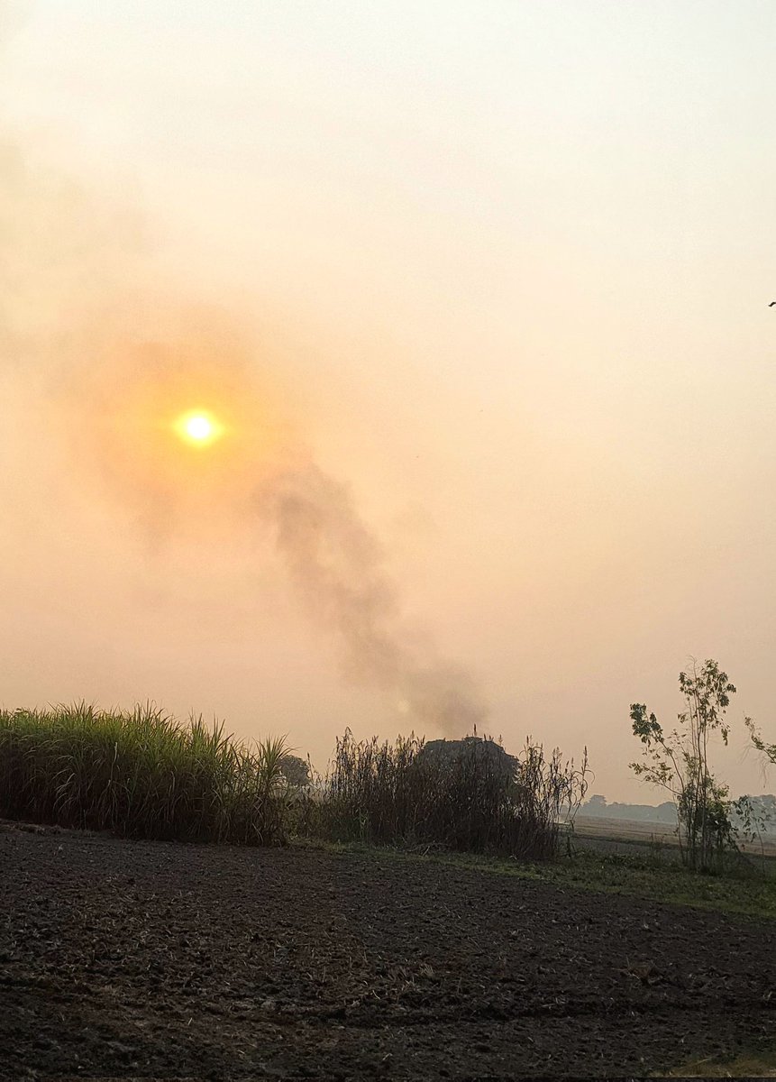 Anand_thunder's tweet image. गाँव की इस धुँधली सुबह ने सिखाया
अगर सूरज धुएँ के बीच चमक सकता है, तो आप भी हर मुश्किल के बीच चमक सकते हैं। 🌅✨

Good Morning 🌅