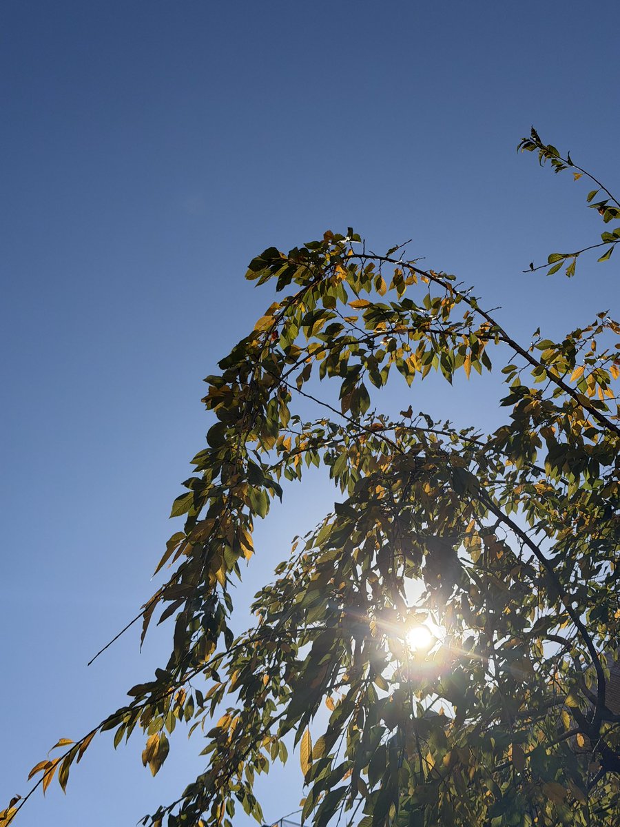 舞台
『スイートホーム ビターホーム』

良い天気です☀️
すでに稽古場、今日もファイト！！

#スイートホームビターホーム