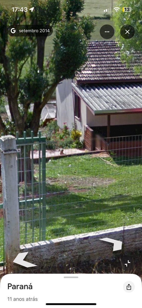 no google street view minha cachorrinha que morreu em 2024 está viva