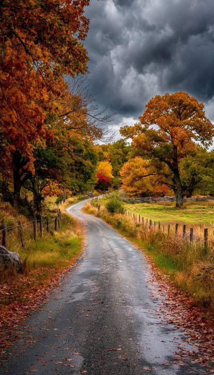 A solo Traveler (@stupendousnatur) on Twitter photo 