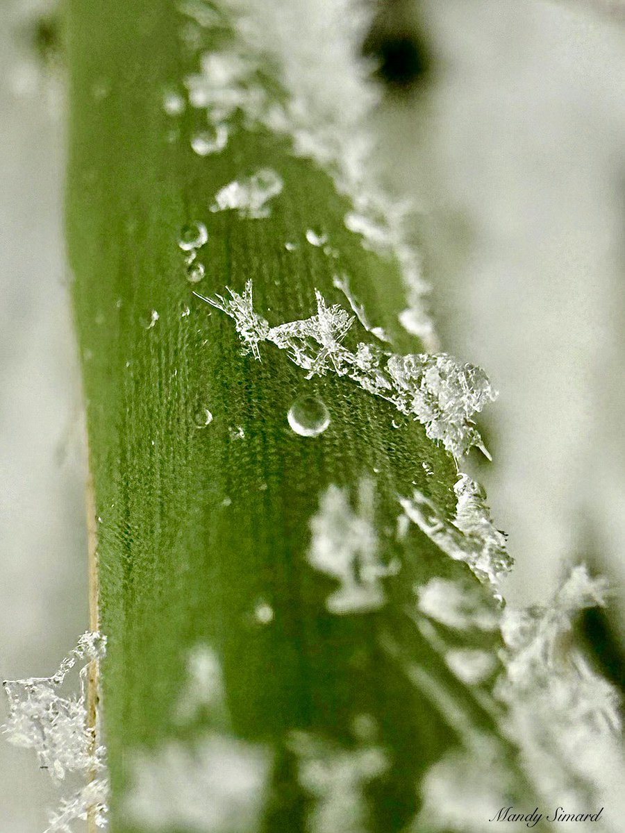 Tiny wonders are everywhere.✨