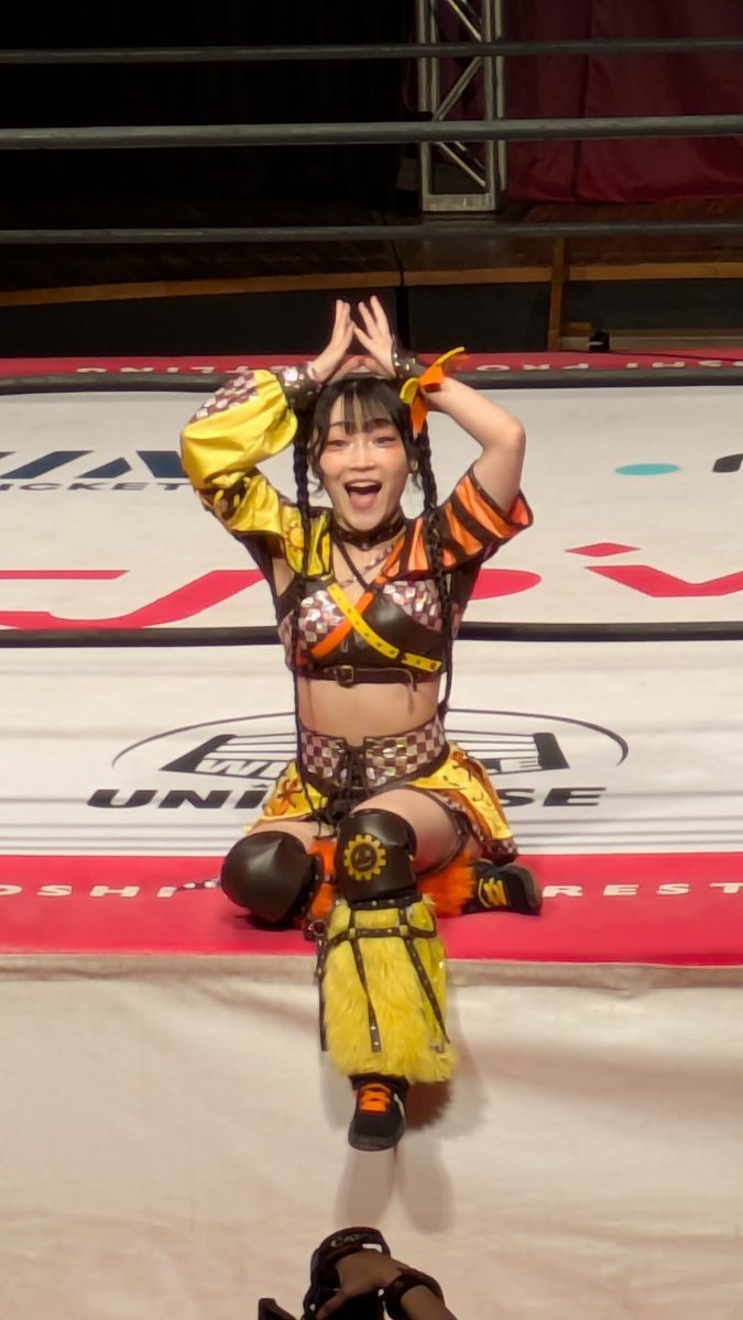 ☆Himawari☆様 Standard SKETCH HIMAWARI T-SHIRTS – MK online store