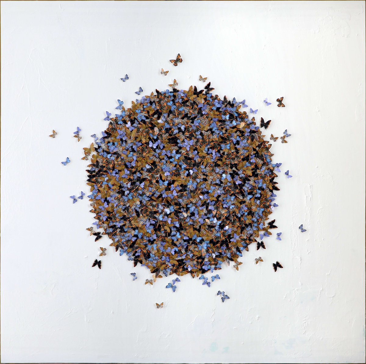 AddictedGallery's tweet image. The butterflies cluster like a living sun—each wingstroke a reminder of how colour transforms the world.
Get Your Art Fix!
&quot;Sol&quot; by Tunku Khalsom, 2021 bit.ly/47Ziad5
Series: The Colours That Surround Us
#butterflies #transformation #cycleoflife #artgallery #collectart