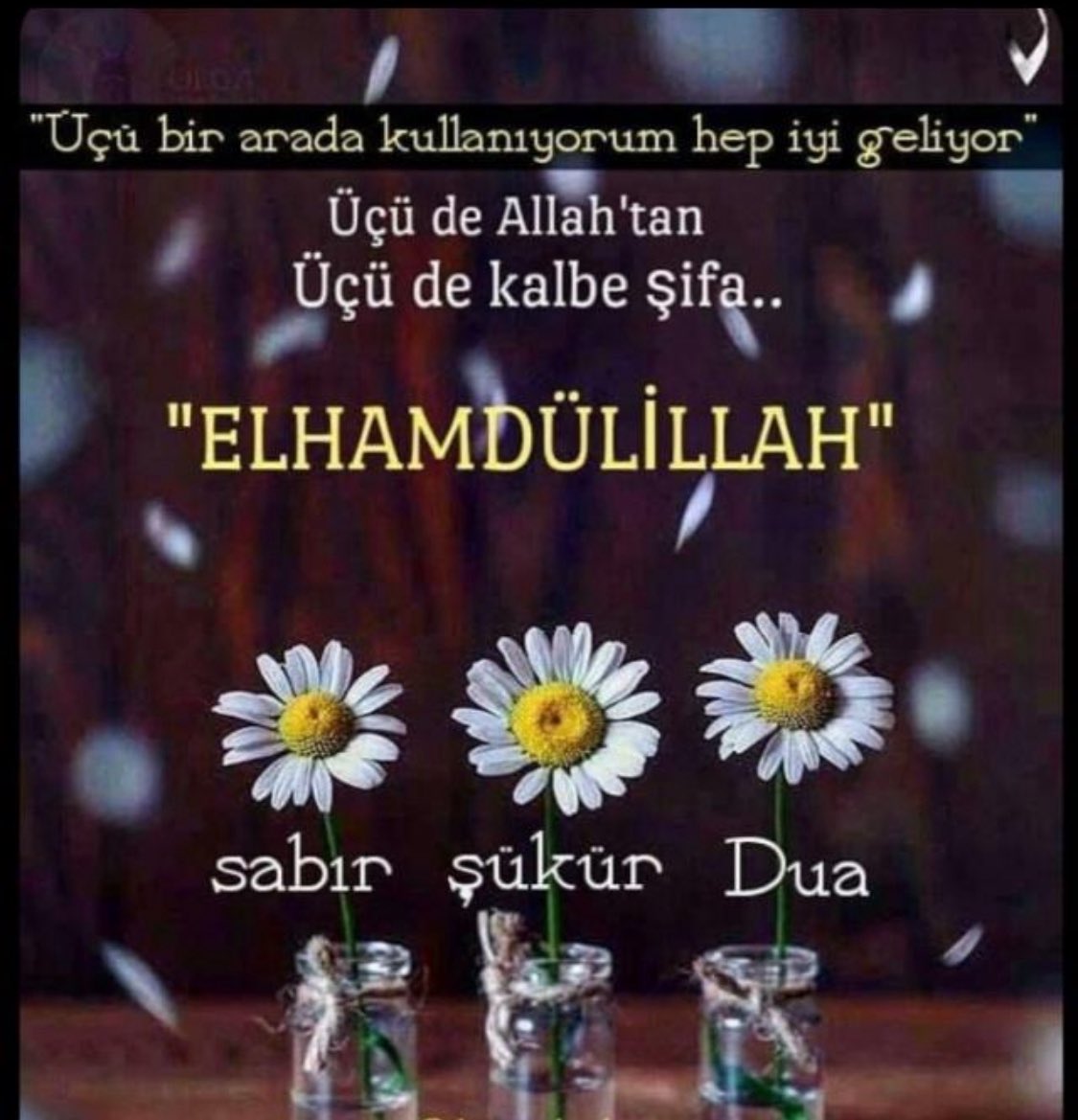 BİSMİLLAHİRRAHMANİRRAHİYM
Es-seLamuALeyküm
DostLar
FeyizLi SabahLar
HayırLı VakitLer

RABB’im!
NeyLerse GüzeL EyLer

Rabb’im!
İmanLarımızı Tahkik EyLe
SapıtanLardan
İnkar EdenLerden kıLma
ÇirkinLikLeri BizLerden Irak EyLe
Âmin

“ALLAH’ım!
Bize İmanı Sevdir,
KaLpLerimizi İmanLa