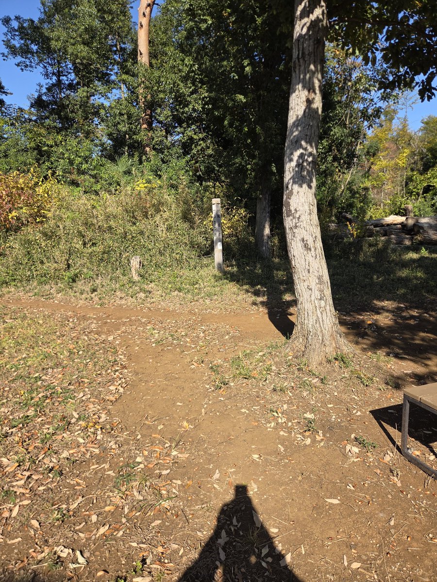 グーグル先生信じてる笑