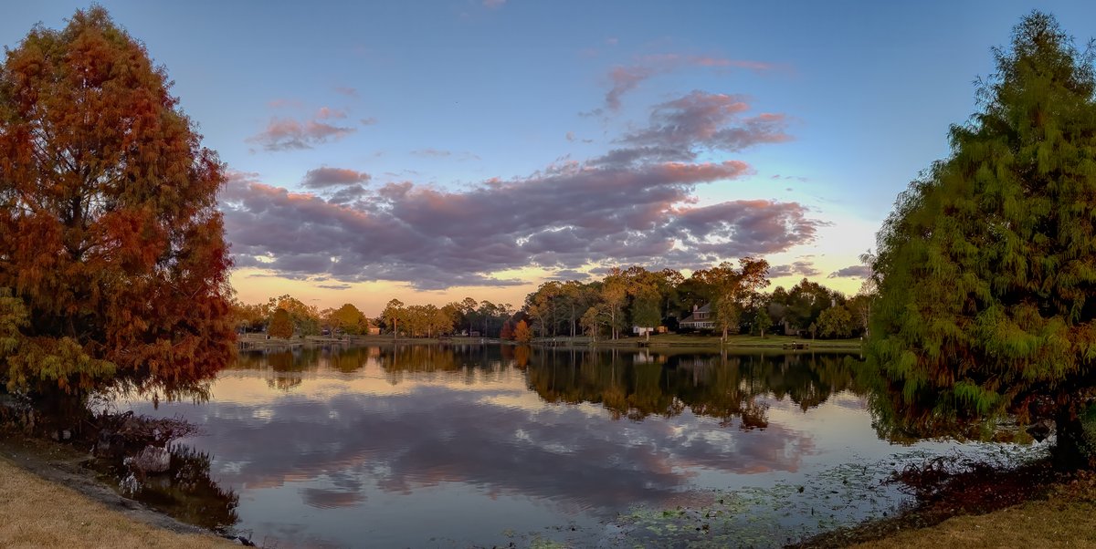 saltandseeimage's tweet image. @MargaretOrr Sure signs of fall in south Mississippi - 11.16.25  #iphone #wildducks #fallcolors #reflections