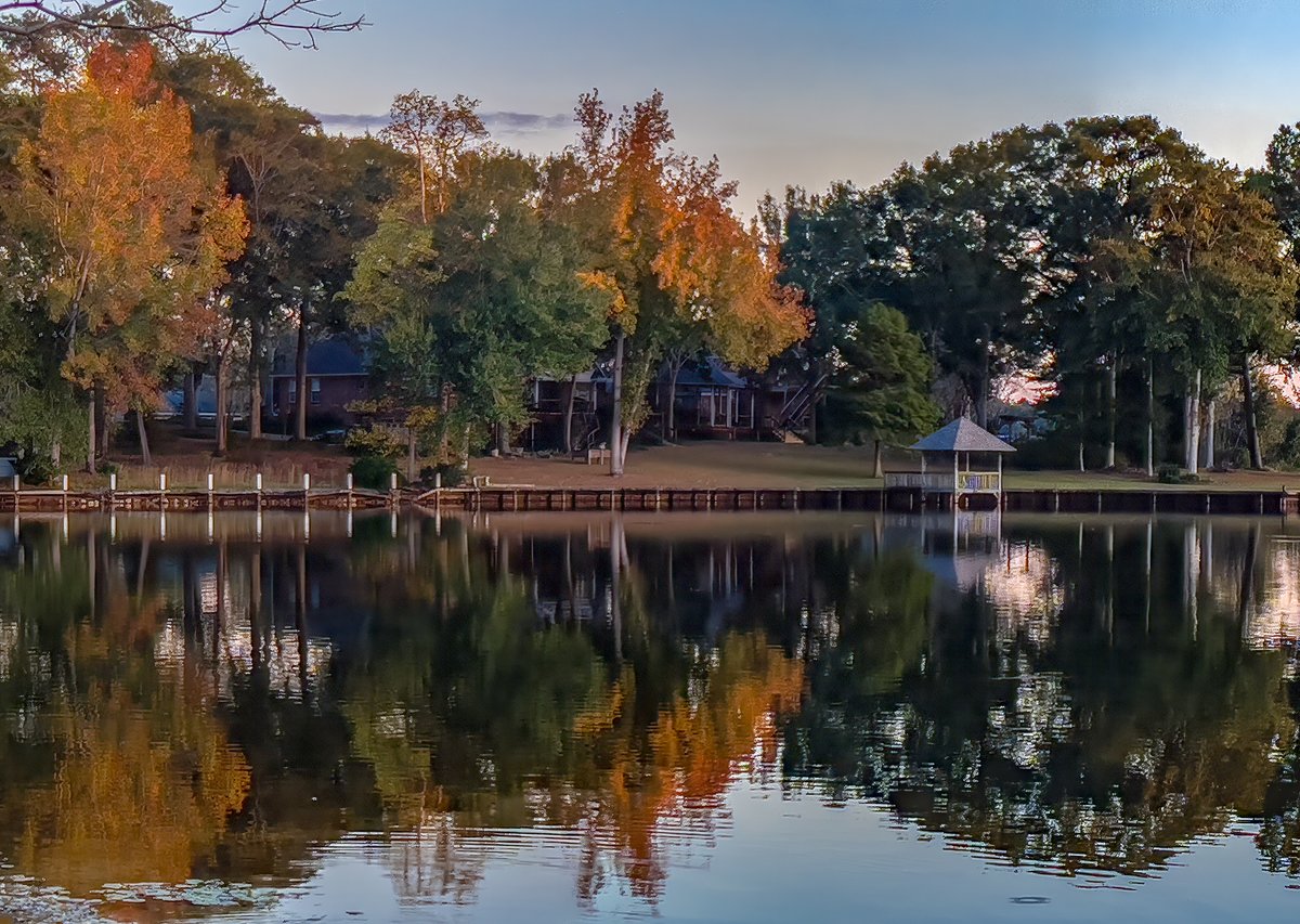 saltandseeimage's tweet image. @MargaretOrr Sure signs of fall in south Mississippi - 11.16.25  #iphone #wildducks #fallcolors #reflections