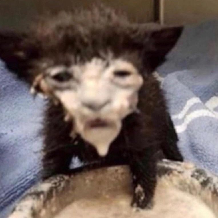 how the <a href="/thebestinjest/">The Best In Jest</a> panel at <a href="/animeimpulse/">ANIME Impulse™ | アニメ インパルス</a> went today 🤭 #ANIMEImpulseDAL2025