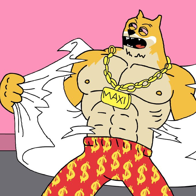 Maxi Doge tweet media