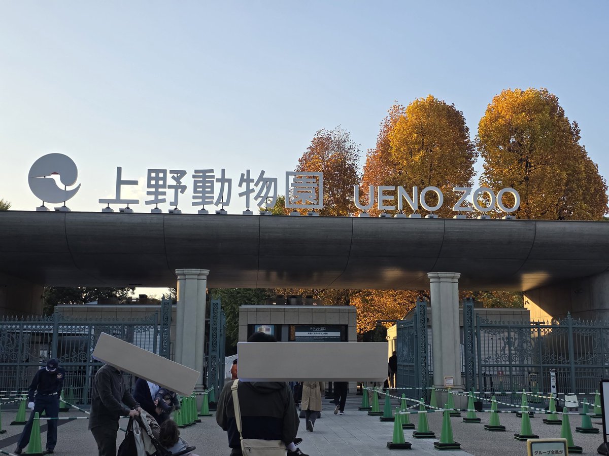 かるぴ。 tweet media