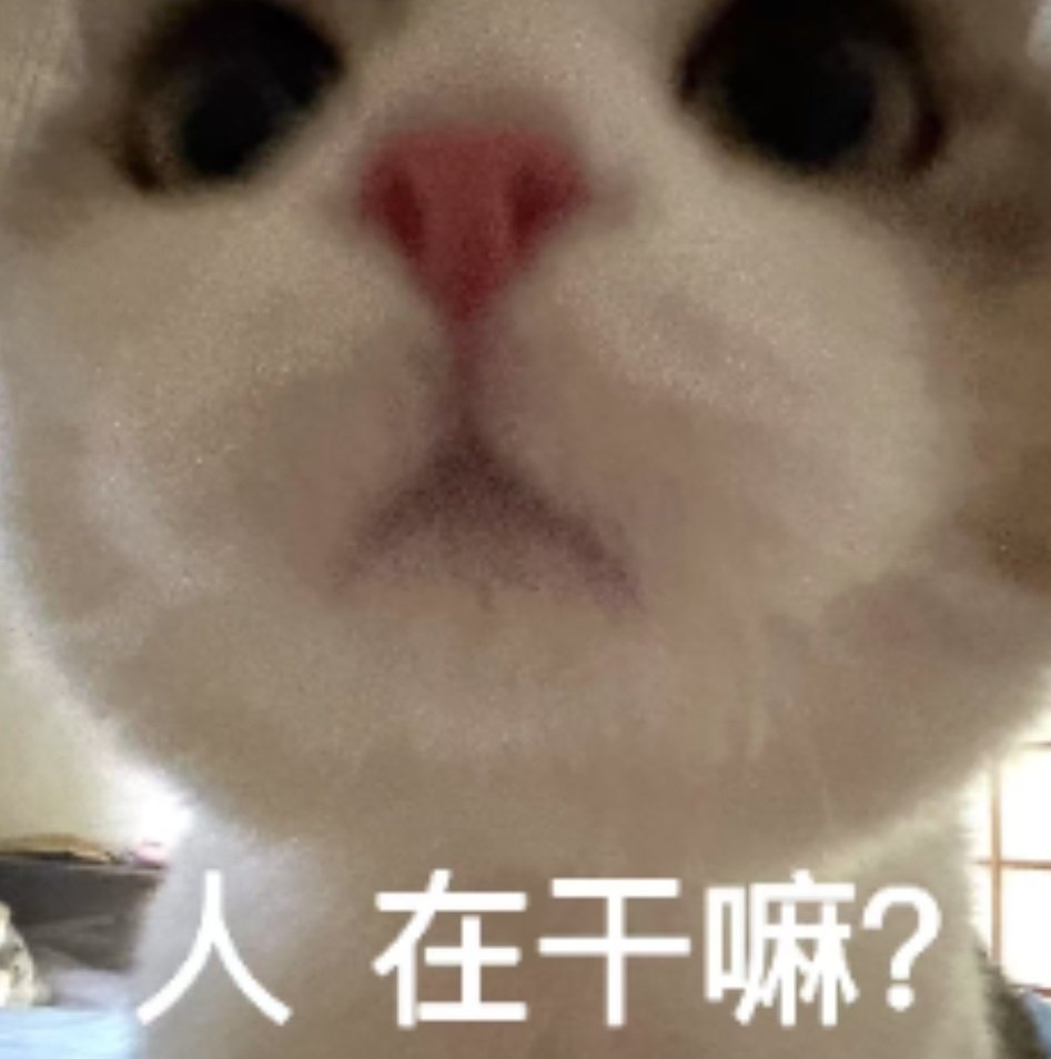 灵珠 tweet media