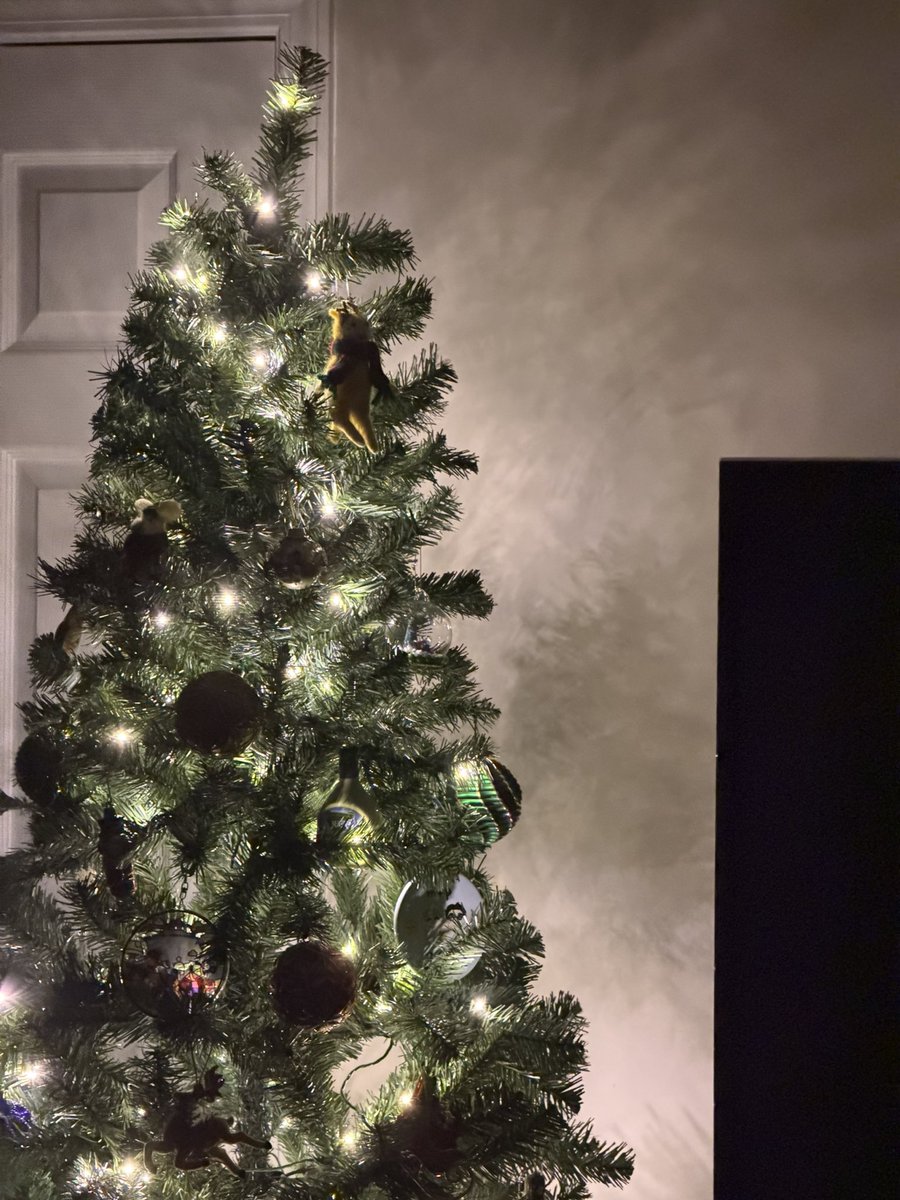 Put up my first ever Christmas Treen in my house! Tis the season ⛄️