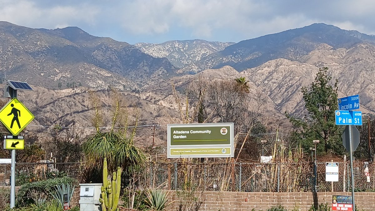 I’m over the moon! Since January, I’ve been curating Our Beloved #Altadena—18 of 60 writers have already submitted beautiful pieces. Next week, I’ll learn if I get funding to self-publish + host a year of #literary events. In hard times, it feels good to have #hope. #community