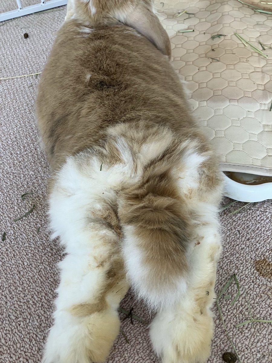 うさけつようびに
学級閉鎖🥵