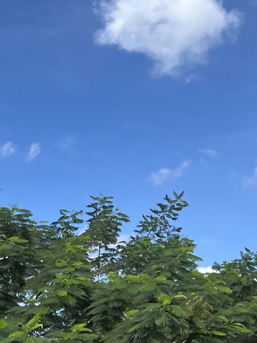 Jakarta : it's not blue sky, not lapis. 

it's actually cerulean. 💅💅