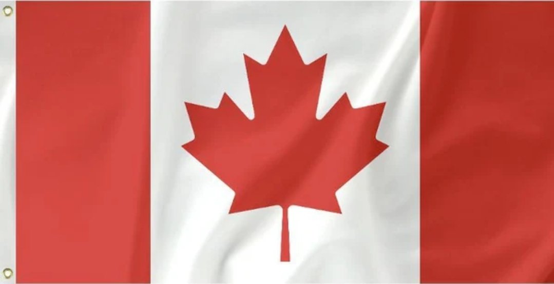 MichelleLA1981's tweet image. This is the only flag that should be hanging at any government or municipal building in this country!
PERIOD!!