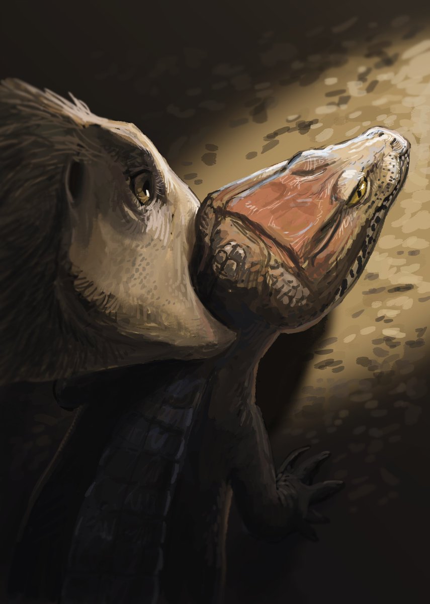 JoschuaKnuppe's tweet photo. Results from the #paleostream! 
Dodo (a wish by @Desertleaper), Oneirosaurus, Thikarisuchus and Bakiribu https://t.co/bfFTkKz0dB