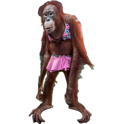 TTTCG | Luke Remick tweet media