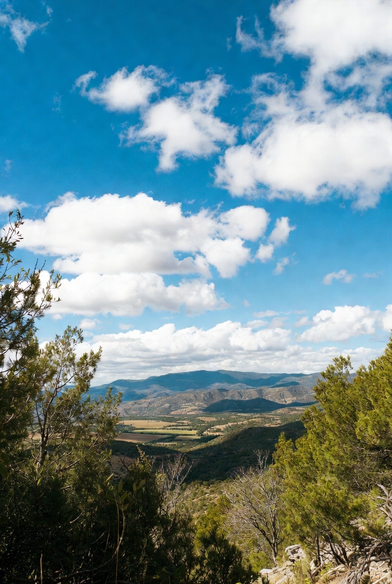 it_o_en_llc's tweet image. 今日も晴れですね！

気温差が激しいので
体調を崩さないように
週始めの月曜日、頑張っていきましょう！

#企業公式相互フォロー祭り
#企業公式秋のフォロー祭り