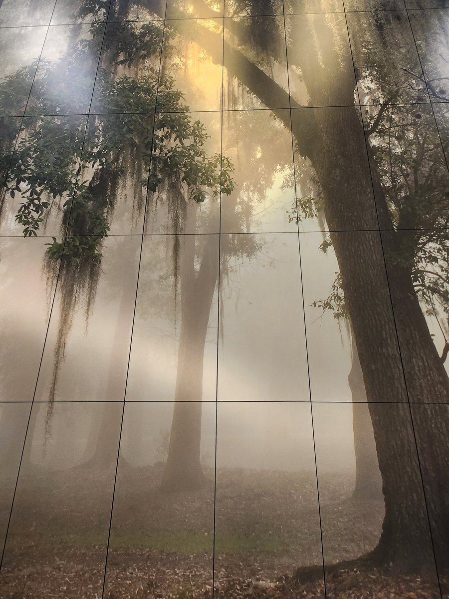 1.5 Drive through LA to MS