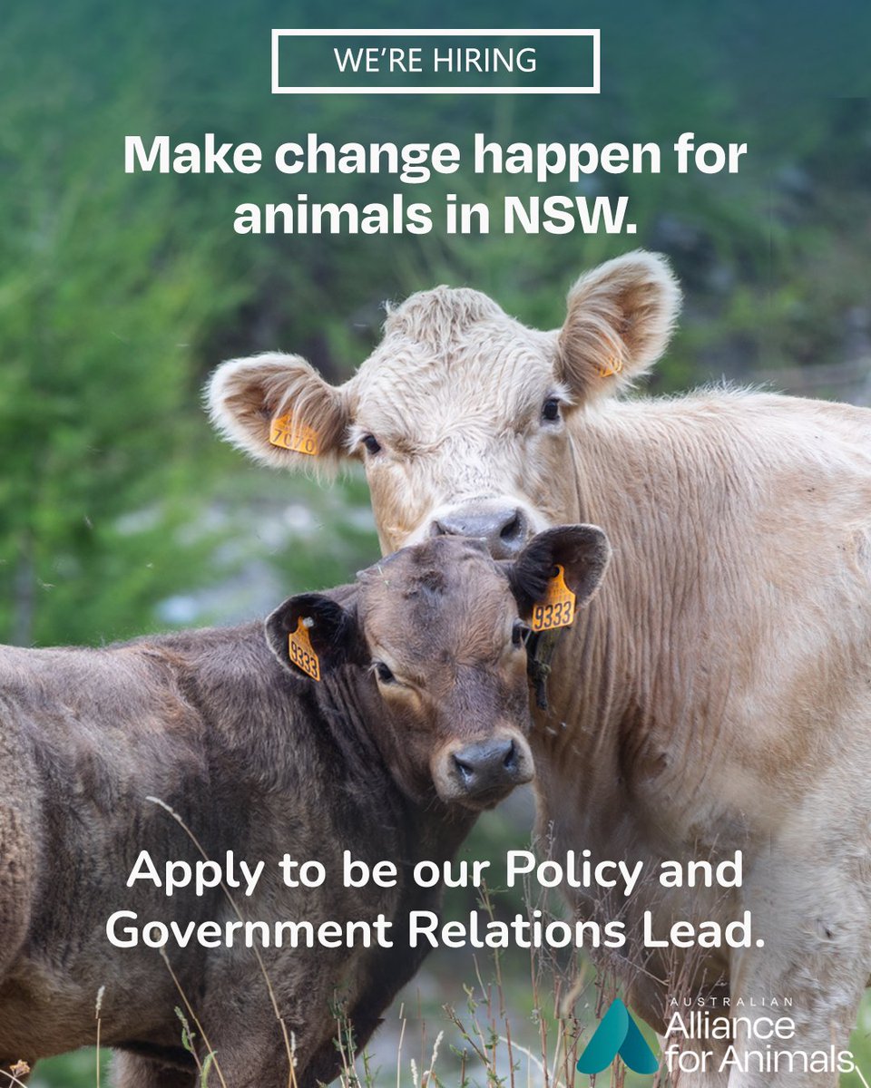 Australian Alliance for Animals tweet media